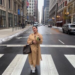 Aritzia Trench Coat